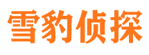 宛城市侦探公司